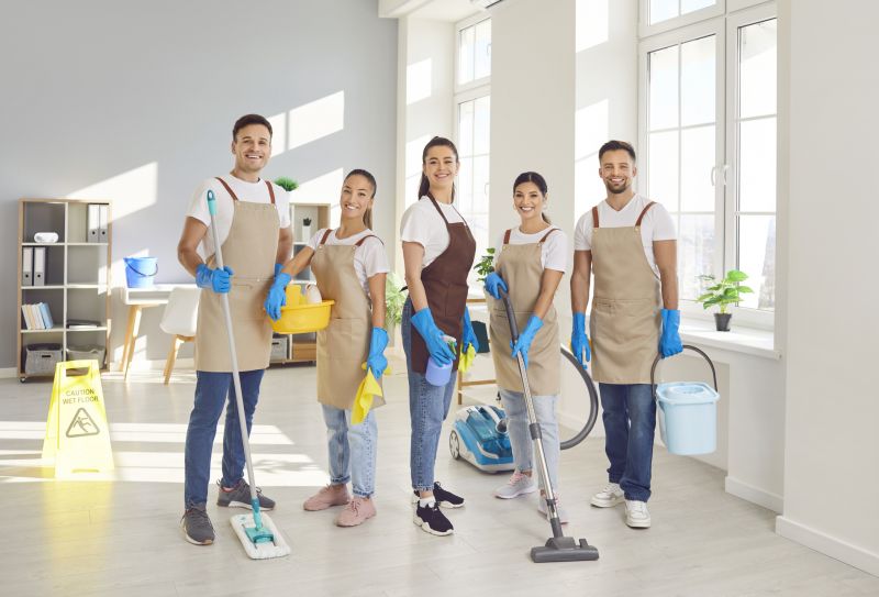 Professional Cleaning Standards